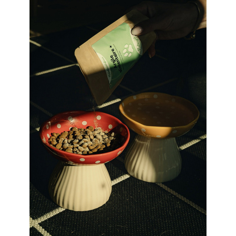 Argile alimentaire + 200g Nutragile