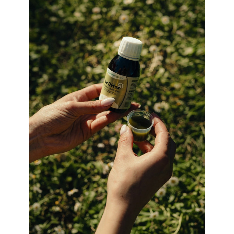 Solution Detox 125ml  Nutragile