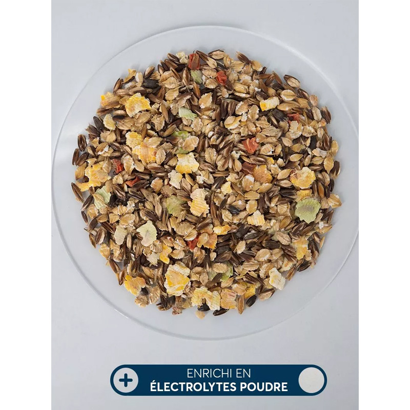 Mash Electrolytes Unidose 750g