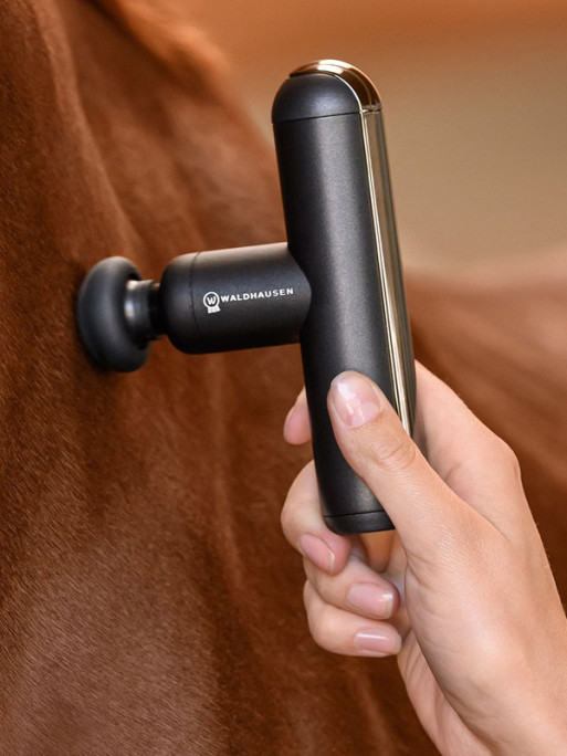 Appareil de massage PocketRelax Waldhausen Health +