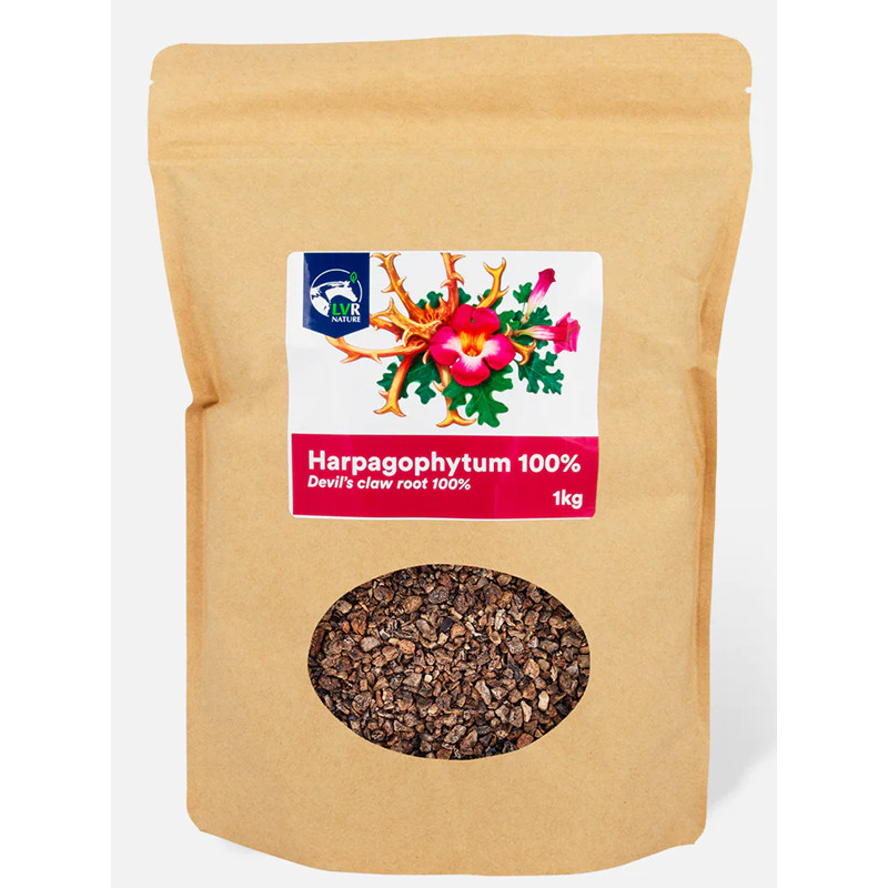 Harpagophytum 1kg Reverdy