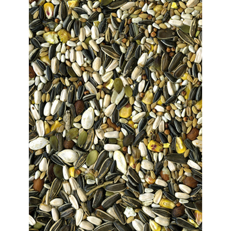 Mélange de graines Original perroquet 14kg Vadigran