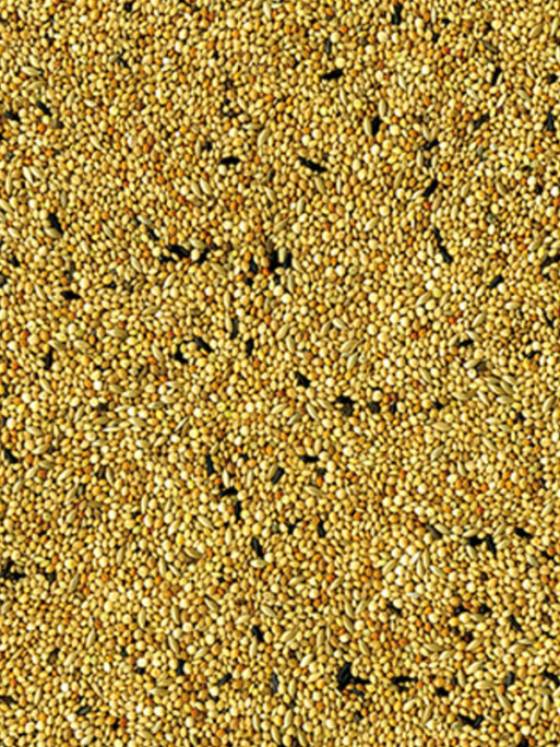 Mélange de graines Original oiseaux exotiques 4kg Vadigran
