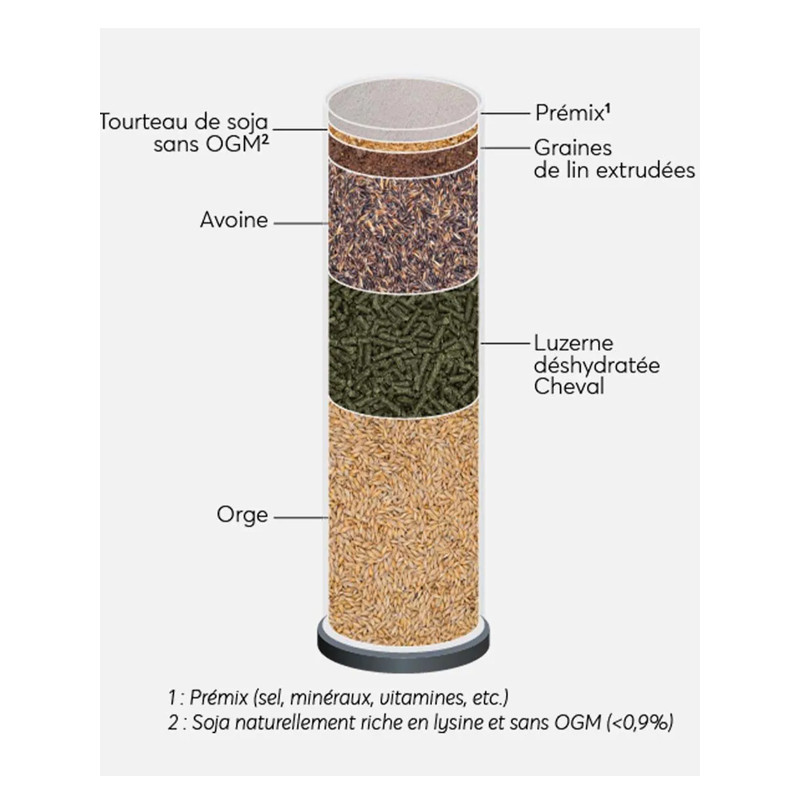 Granulés Adult Energy 20kg Reverdy