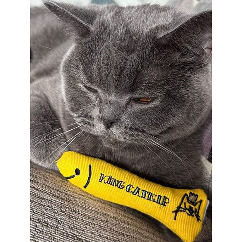 Jouet Hareng 11.5cm King Catnip