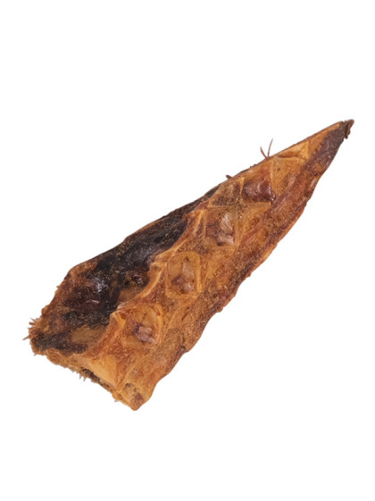 Os de thon 13cm vrac Vadigran