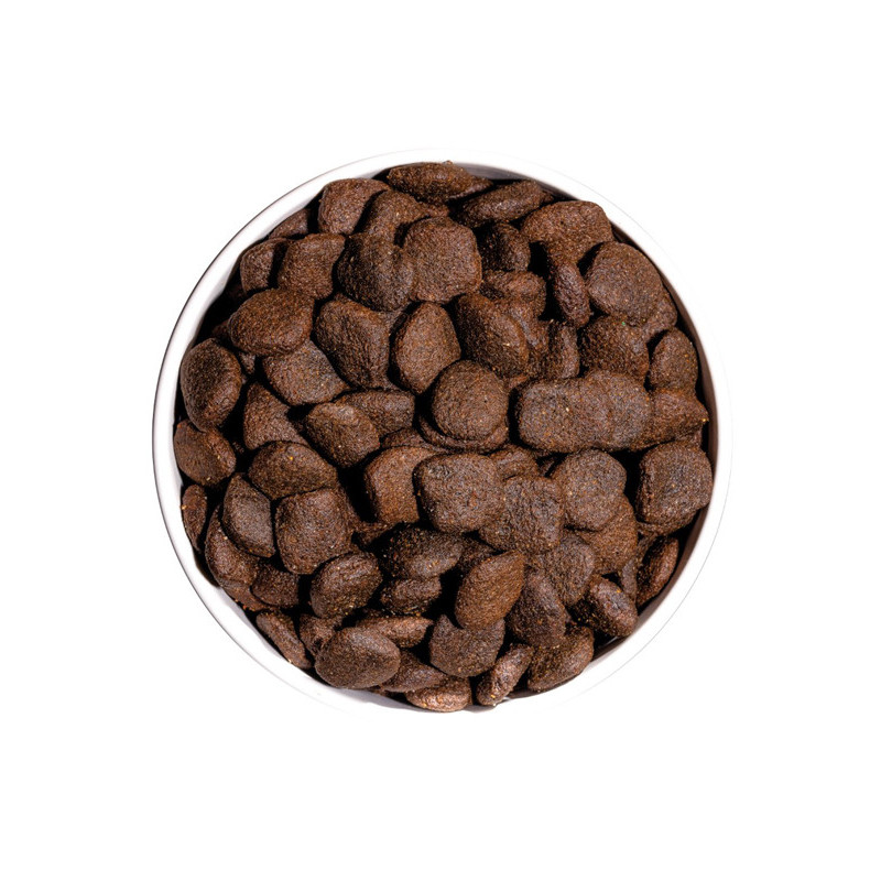 Croquettes Grain Free Hypoallergenic Pork 3kg Ownat