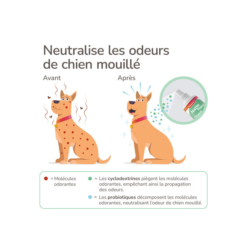 Spray chien mouillé 250ml Beaphar