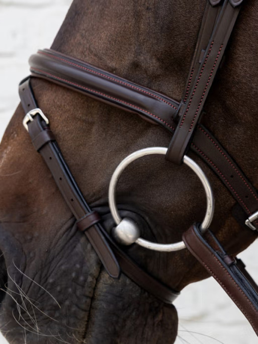 Bridon Flash soft leather Dy'on