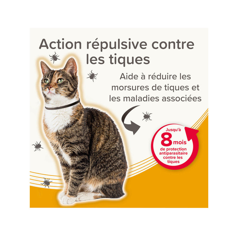 Collier médicamenteux 1.25g + 056g chat Beaphar