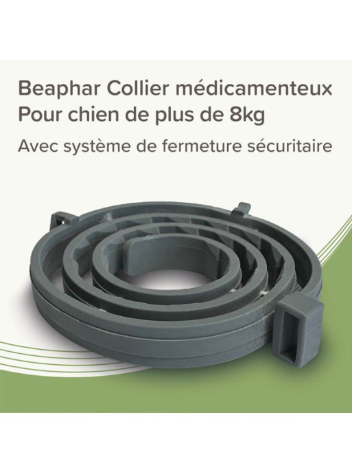 Collier médicamenteux 4.5g + 2.03g chien Beaphar