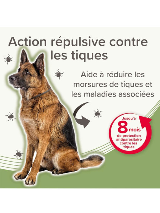 Collier médicamenteux 4.5g + 2.03g chien Beaphar