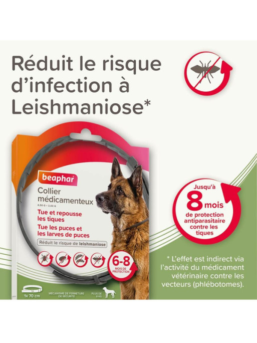Collier médicamenteux 4.5g + 2.03g chien Beaphar