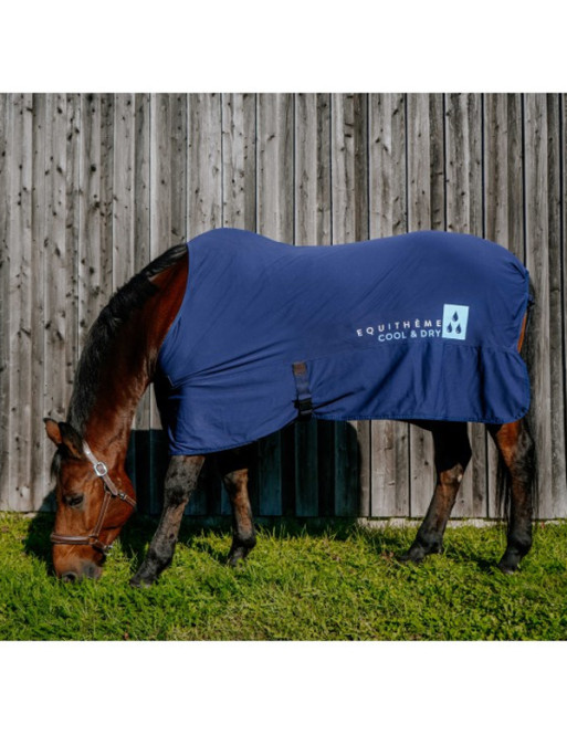 Chemise Fresh Cool&dry Equi-Thème