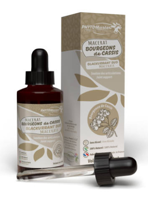Macérât de bourgeons de cassis 60ml Phyto Master