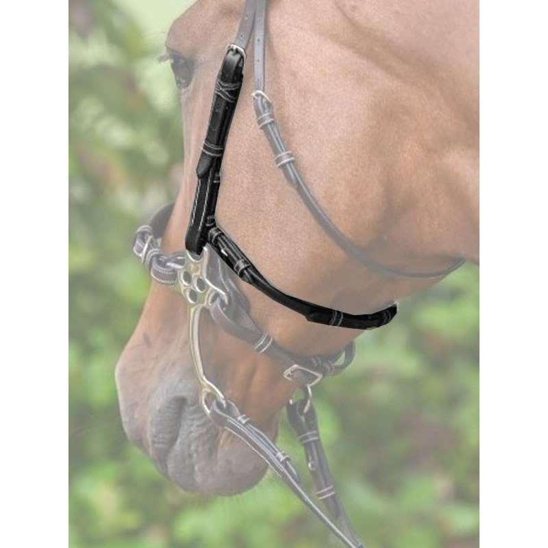 Montants et lanière pour hackamore Collection Week Jump'In