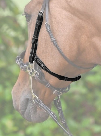 Montants et lanière pour hackamore Collection Week Jump'In