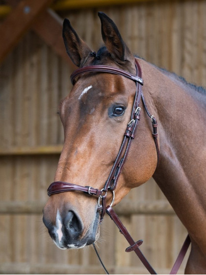 Bridon Evolution muserolle allemande Origin Jump'In