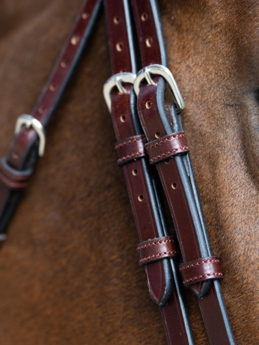 Bridon Evolution muserolle allemande Origin Jump'In
