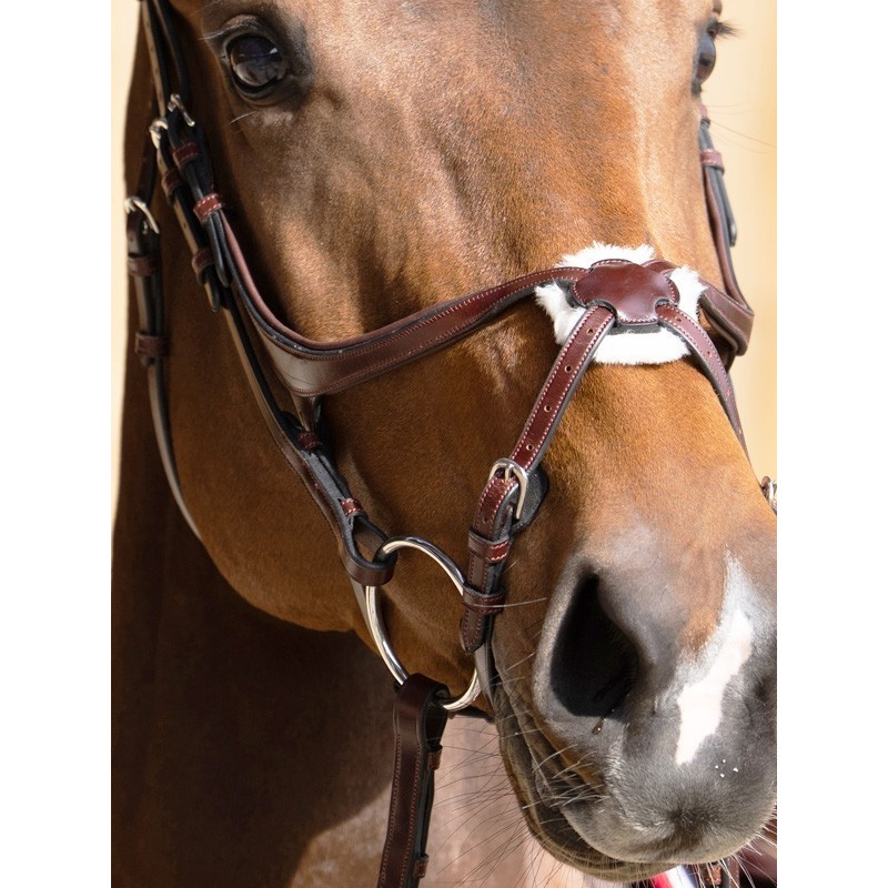 Bridon Evolution muserolle croisée Origin Jump'In