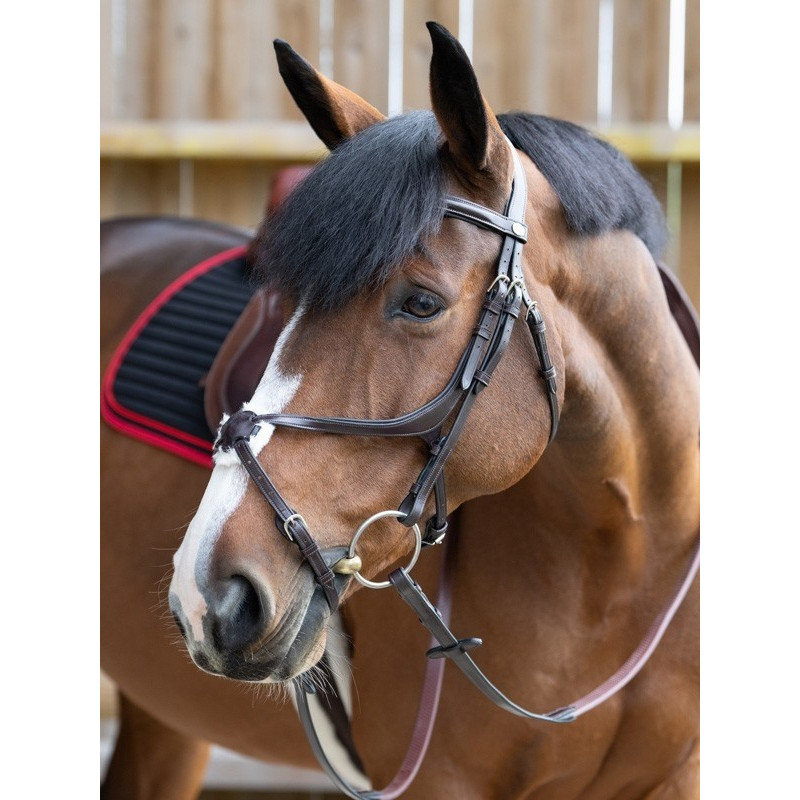 Bridon Evolution muserolle croisée Origin Jump'In