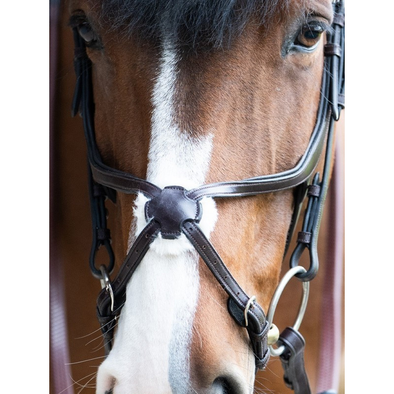 Bridon Evolution muserolle croisée Origin Jump'In