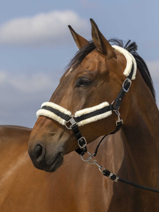Licol nylon mouton Equi-Thème