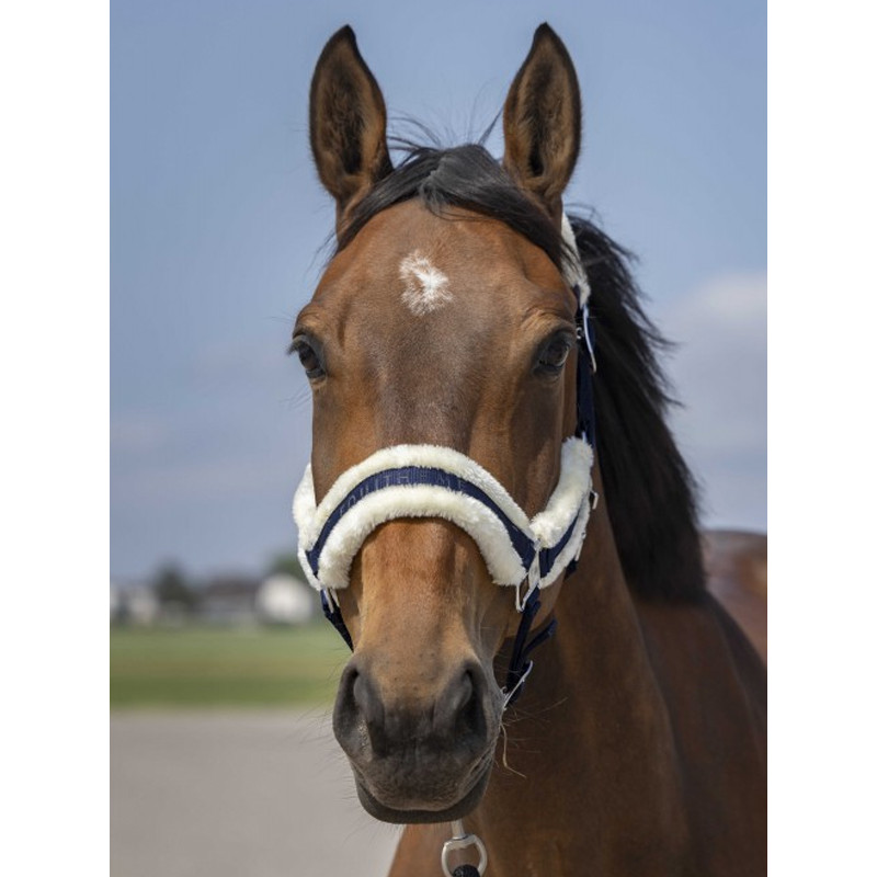 Licol nylon mouton Equi-Thème