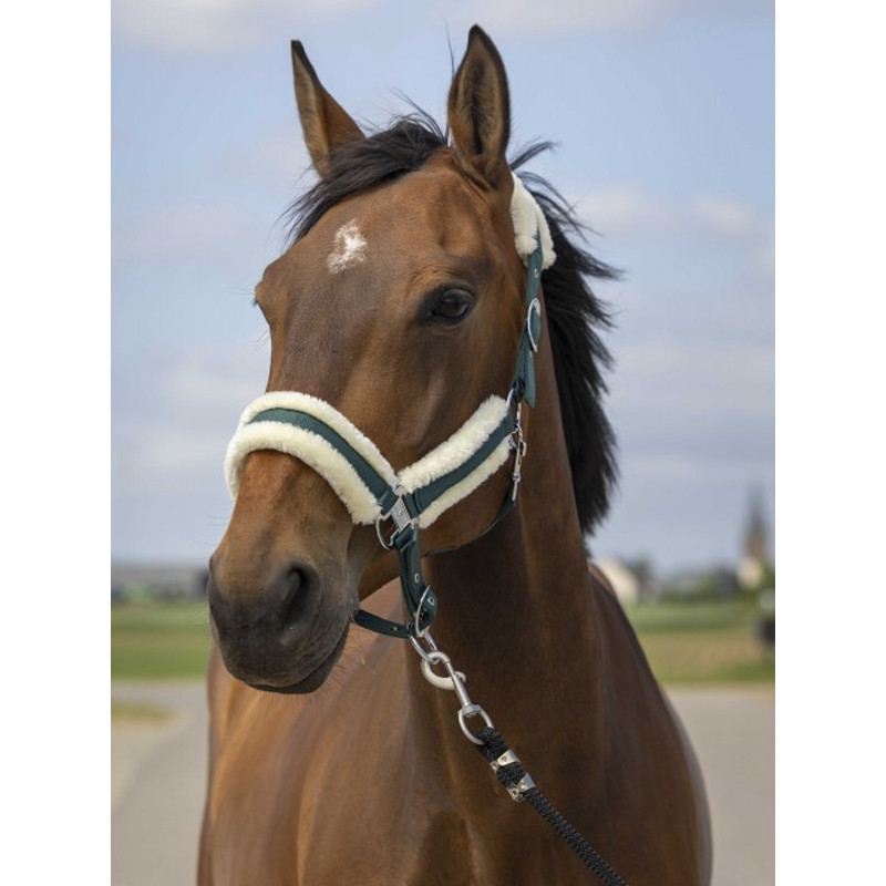 Licol nylon mouton Equi-Thème