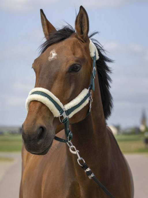 Licol nylon mouton Equi-Thème