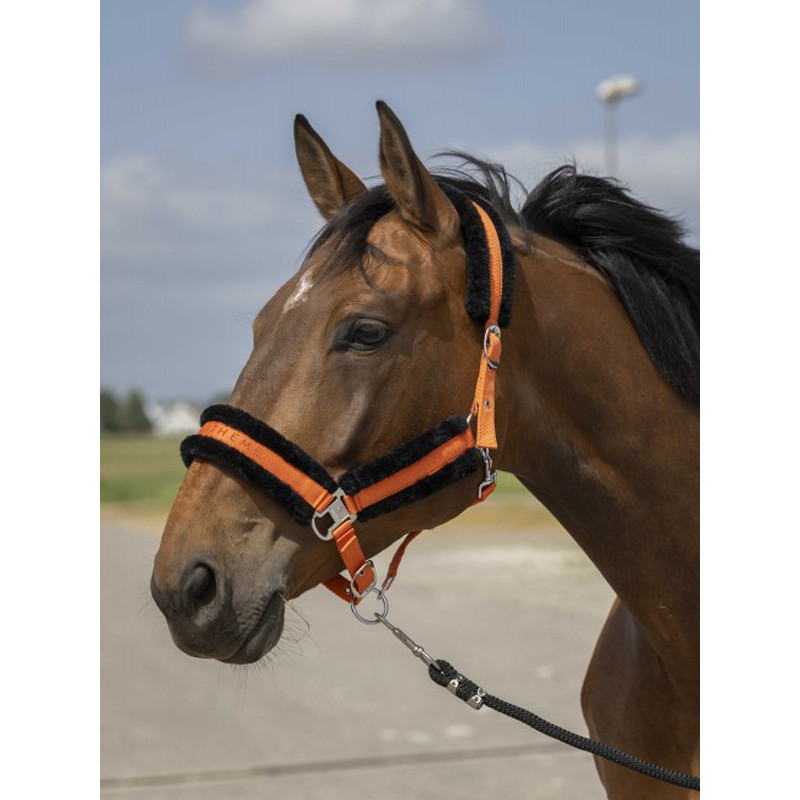 Licol nylon mouton Equi-Thème