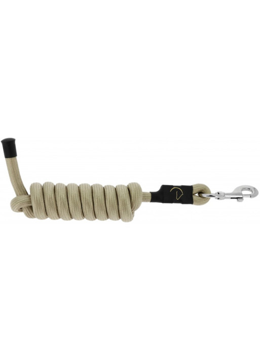 Longe Domino Equi-Thème