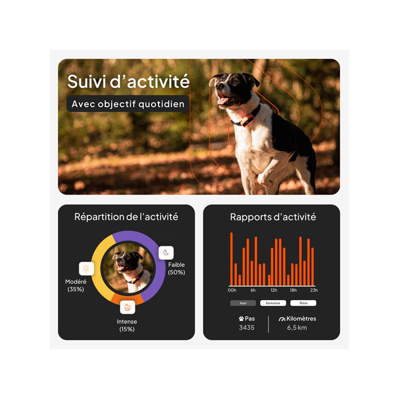 Traceur Mini GPS XS chien Weenect