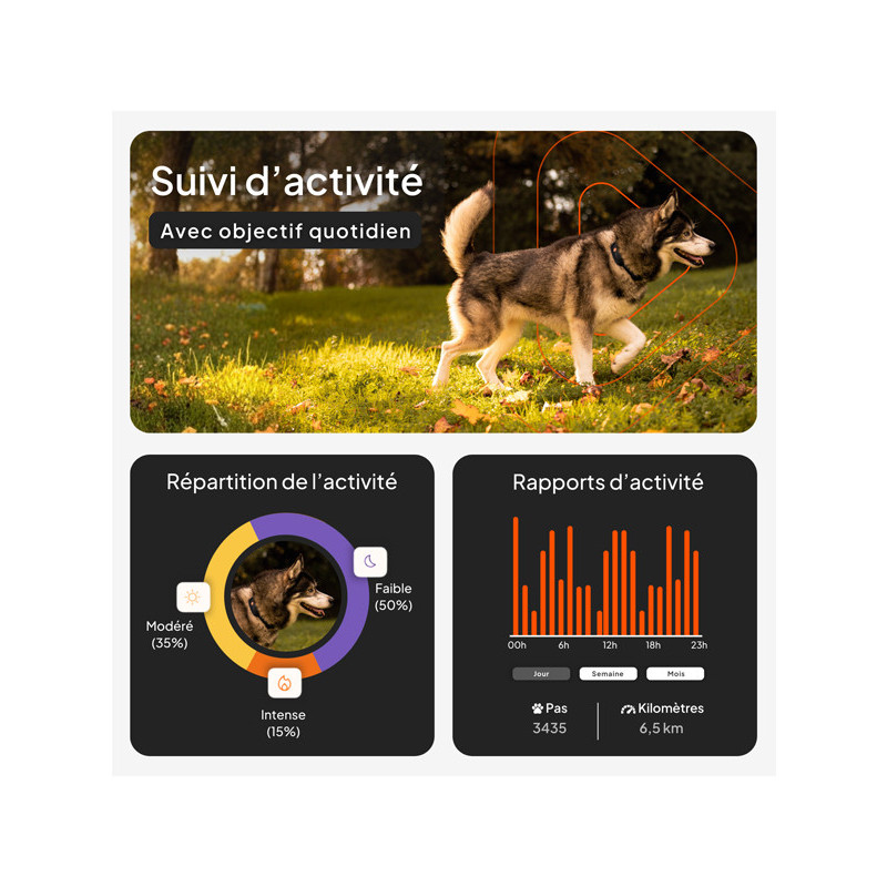 Collier avec traceur GPS XT chien Weenect