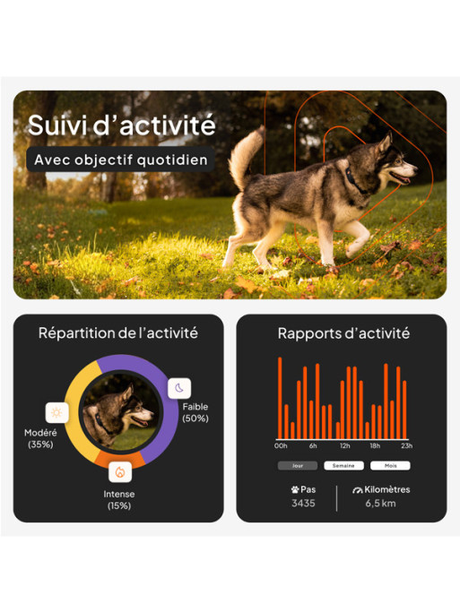 Collier avec traceur GPS XT chien Weenect