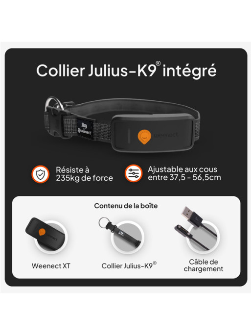 Collier avec traceur GPS XT chien Weenect