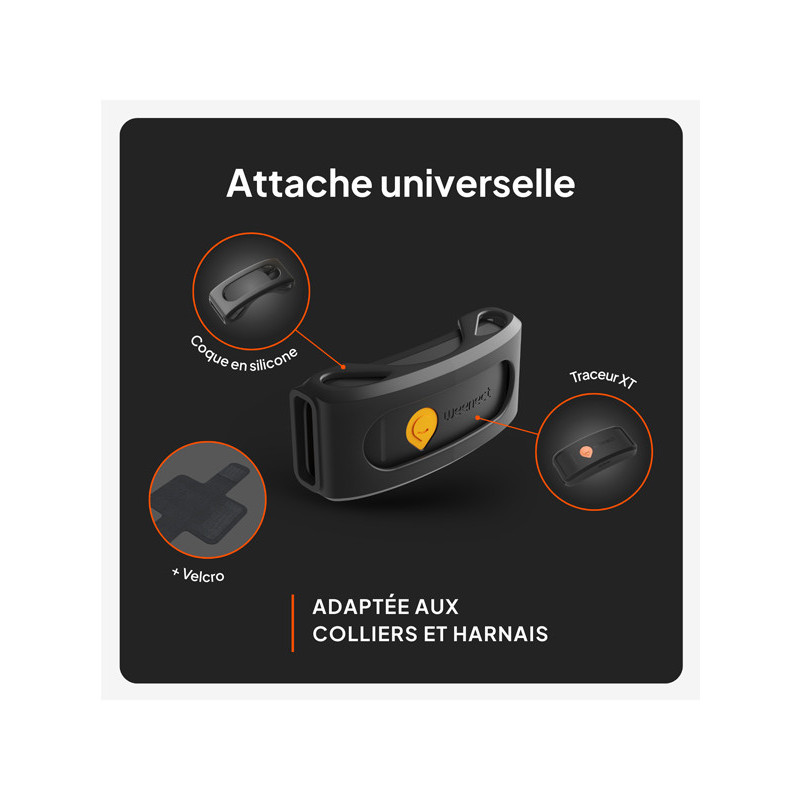 Traceur GPS XT chien Weenect