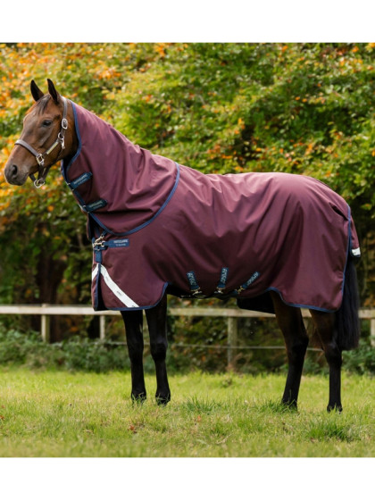 Couverture d'extérieur Amigo Bravo 12 Plus 100g Horseware