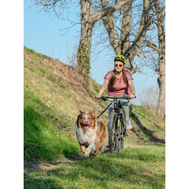 Harnais Olympia Cani Gear