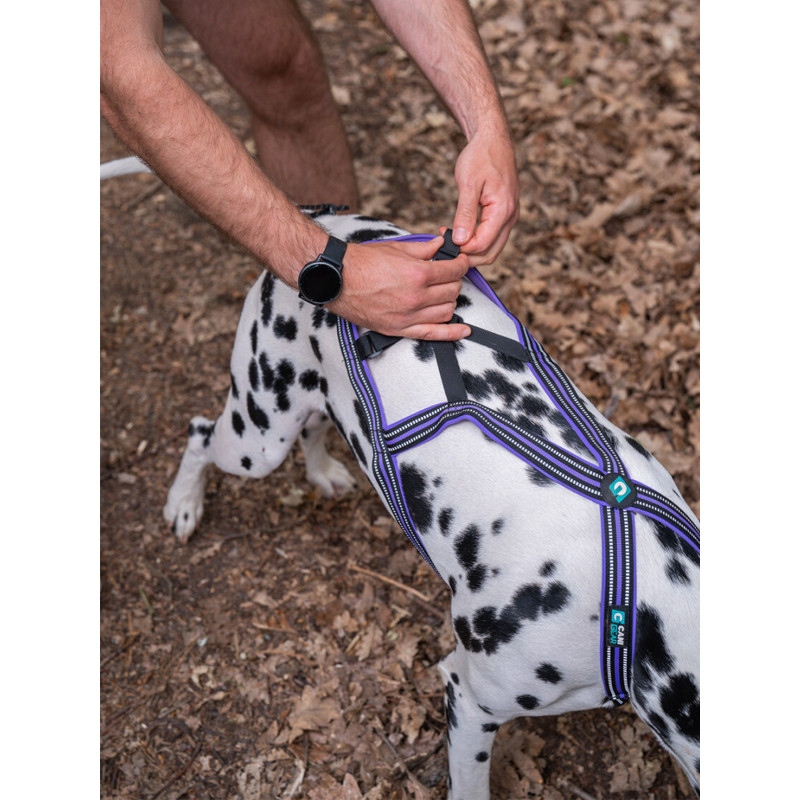Harnais Olympia Cani Gear