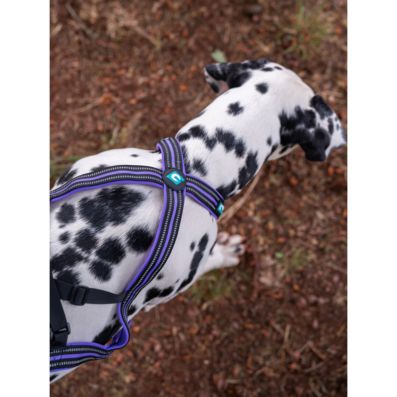 Harnais Olympia Cani Gear
