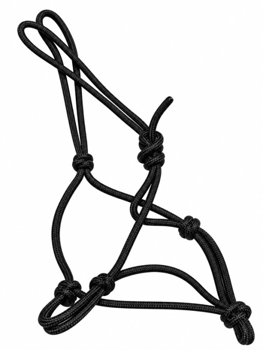 Licol éthologique Brockamp