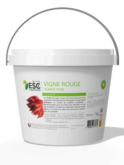 Vigne rouge 1kg ESC