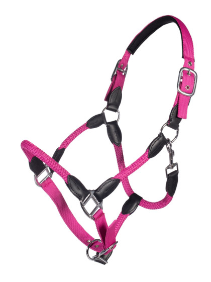 Licol Carlotta HKM