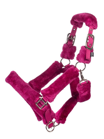 Licol Comfort HKM