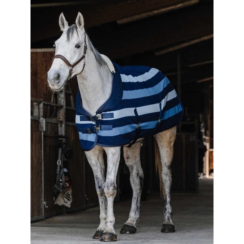 Chemise polaire Confortech Stripe Equi-Thème