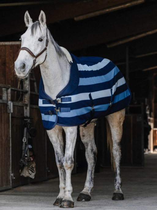 Chemise polaire Confortech Stripe Equi-Thème