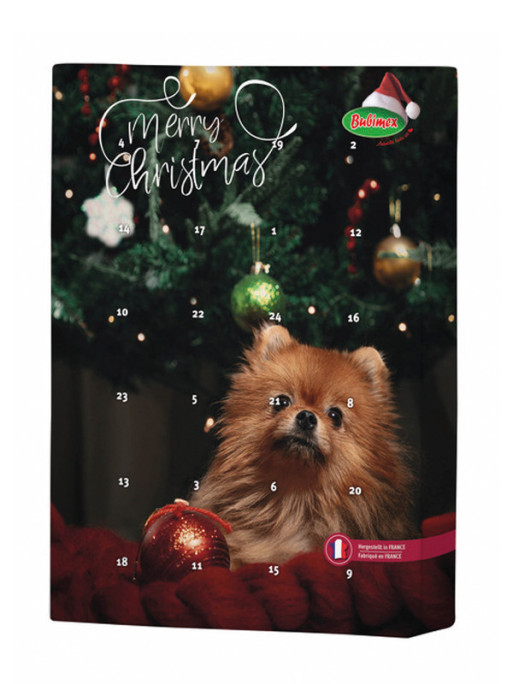 Calendrier de l'avent chien 70g XMAS Bubimex