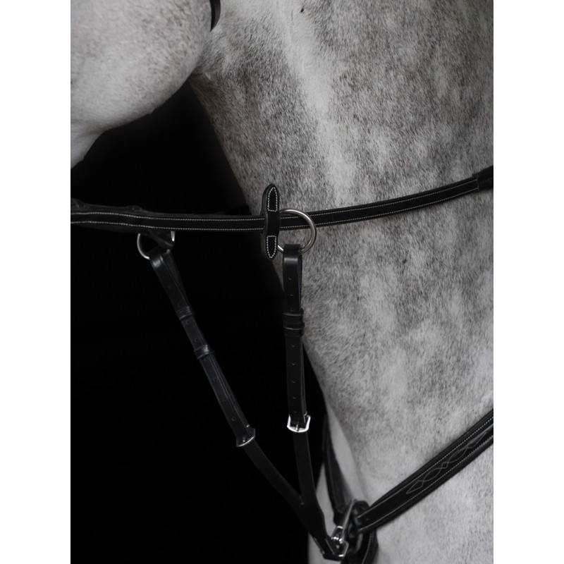 Collier de chasse Alba HFI