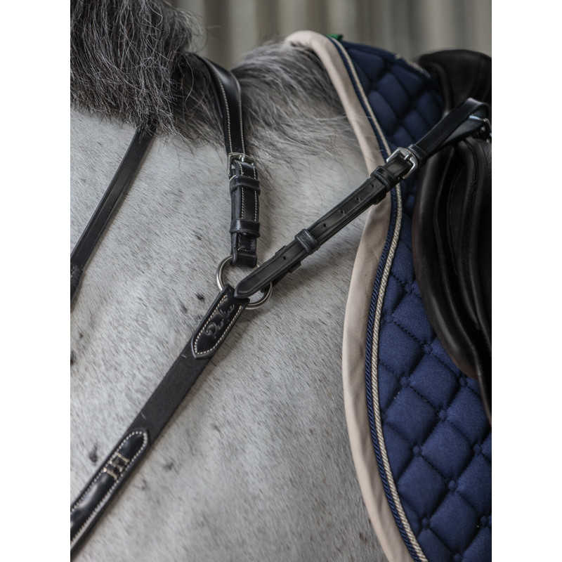 Collier de chasse Aosta HFI